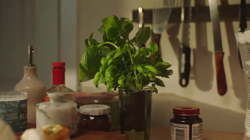 Ingredients on a table with herb leaves