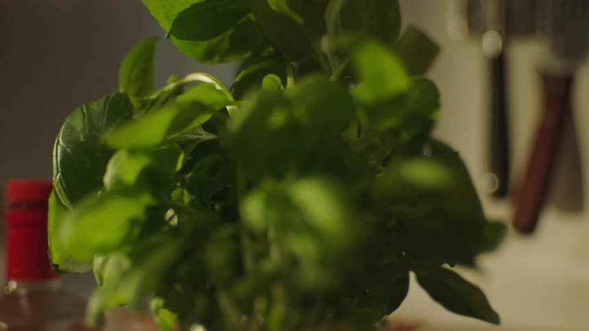 Closeup of ingredient leaves