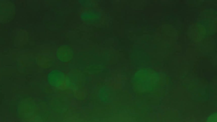 Shimmering particles floating on a green liquid