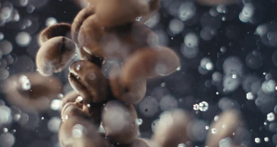 Coffee beans spinning in water with bubbles in slow motion
