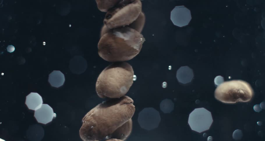 Close up of brown coffee beans floating in water