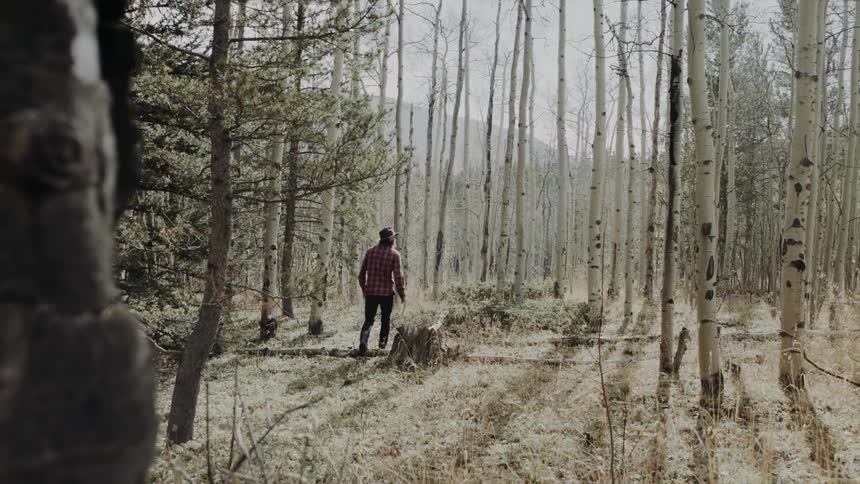 Man walking in the midst of a forest during the day