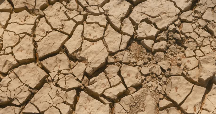 Dry and cracked soil
