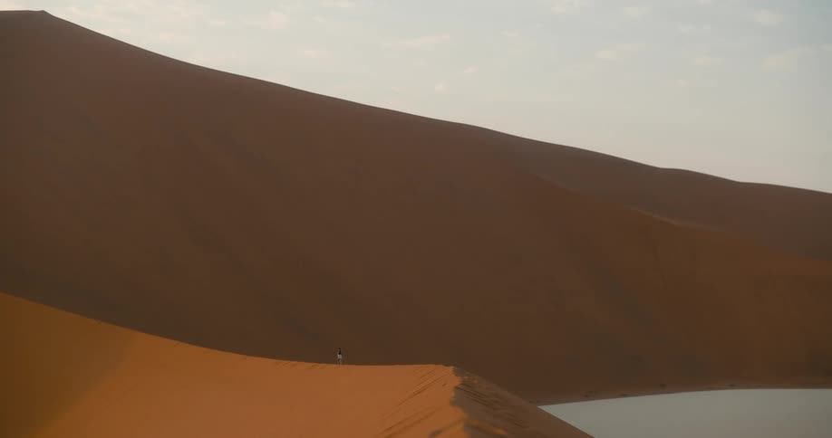 A person standing over a sand dune in the desert