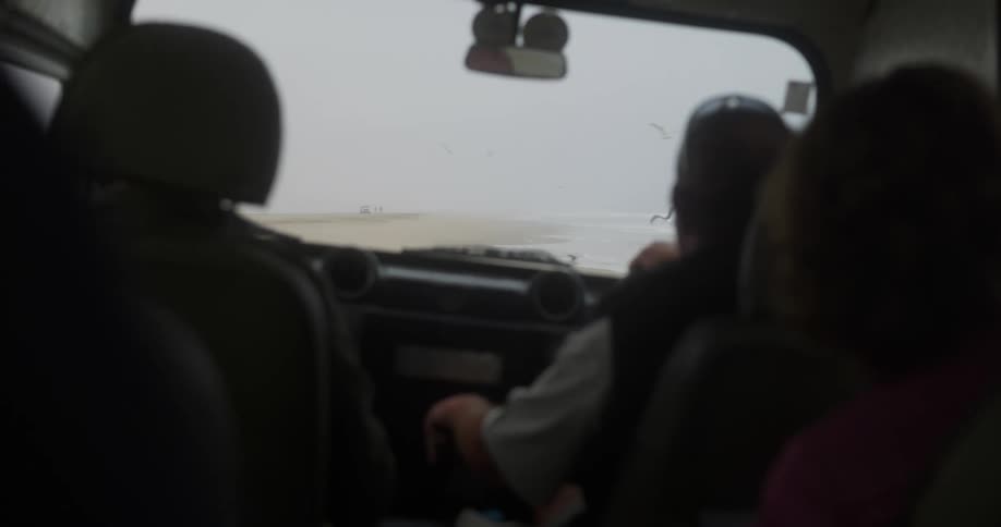 Van drives on the shoreline of a beach