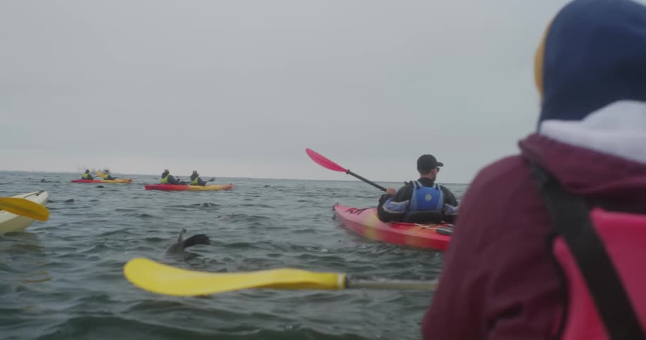 People in various kayaks on the sea on a cloudy day