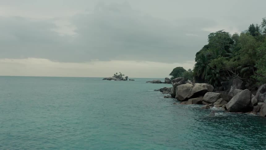 The islands by the ocean are covered with trees