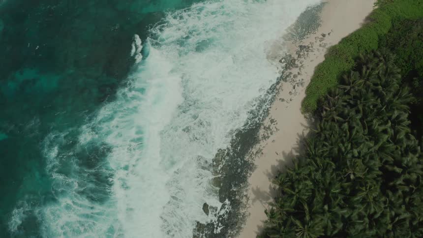 Waves are crashing into a tropical beach