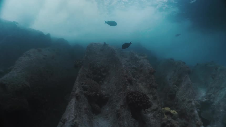 View inside the sea with fish under a reef and waves passing by