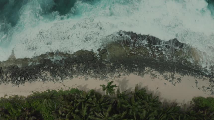Aerial straight down perspective of waves crashing into the shoreline of a white sand beach lines with palm trees