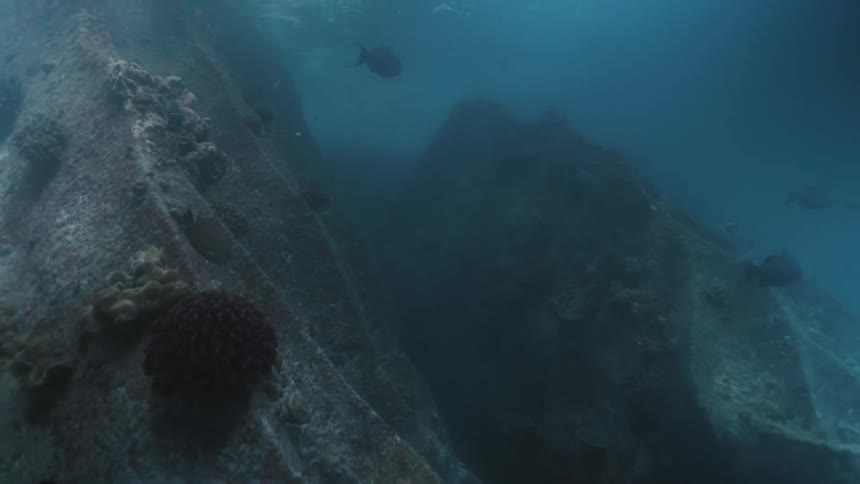 Folded rocky formation in clouded blue water with small fish