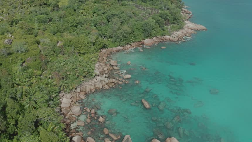 An aerial view of a rocky tropical coastline during the daytime