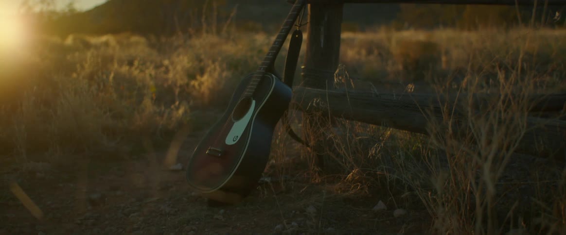 A guitar leaned against a wooden fence in a grass field