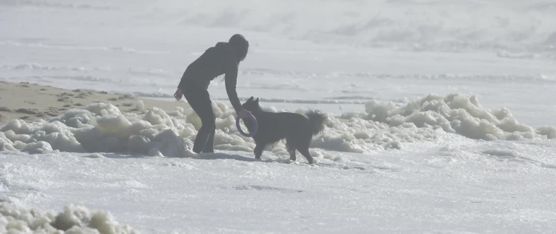 A woman playing with her dog on the beach