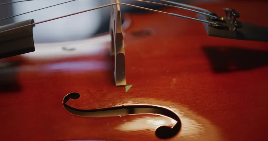 A human hand placing a string on a string instrument