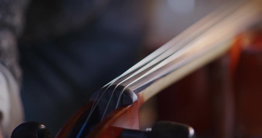 A person tuning violin strings