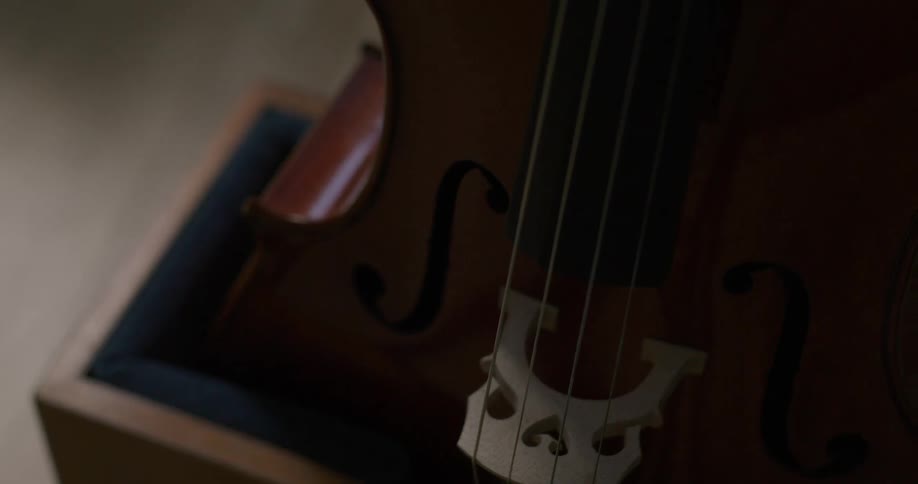 Violin string instrument set in wood box