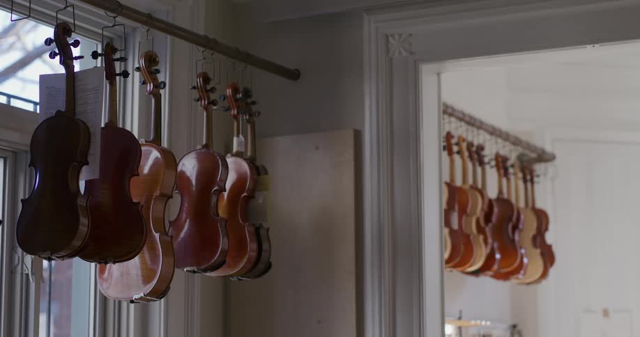 Violins hung on hangers facing the window