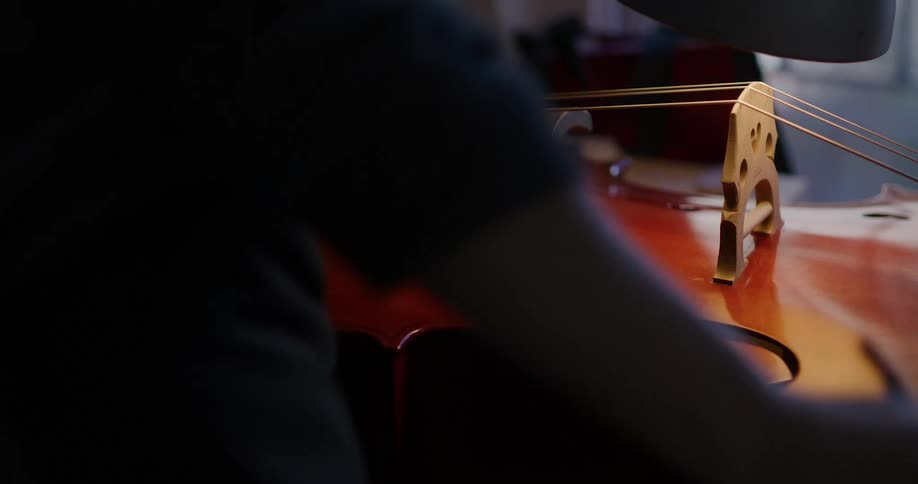 A worker examines a cello in the shop