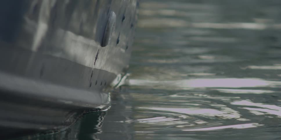 Something partially submerged floats in the water