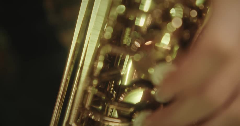 Hand of a woman playing a trumpet