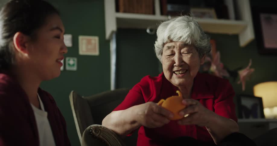 A clip of an elderly woman having a conversation with her daughter