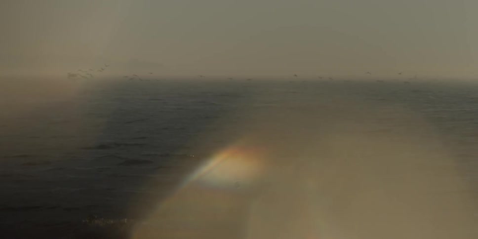 Birds fly above the ocean water as the sun shines