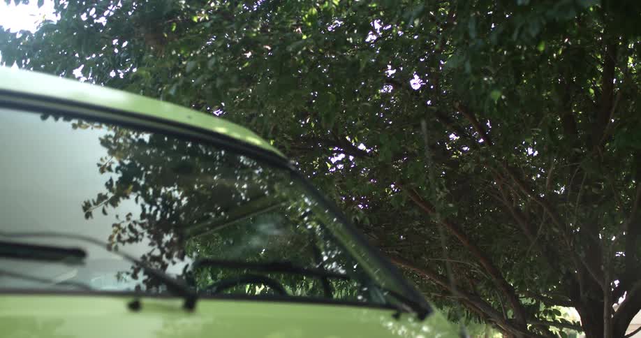 A close up clip of a green bus parking
