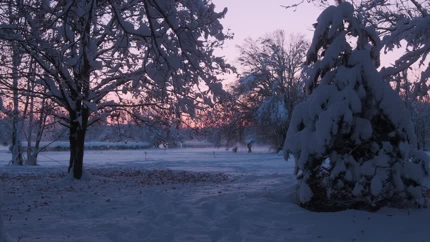 People walk in snow covered park trees at dusk
