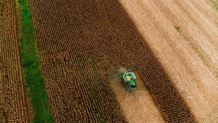 Aerial drone shot of combine harvesting fields of wheat high contrast