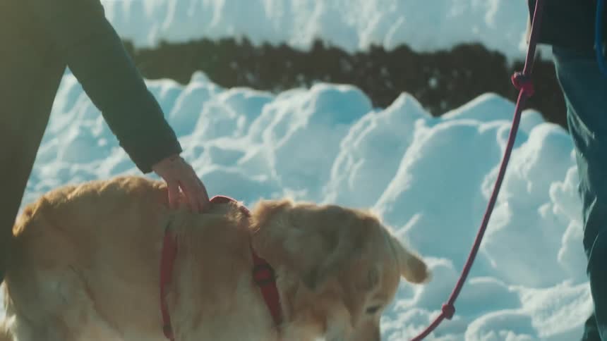 Dog eating a snowball next to its owners