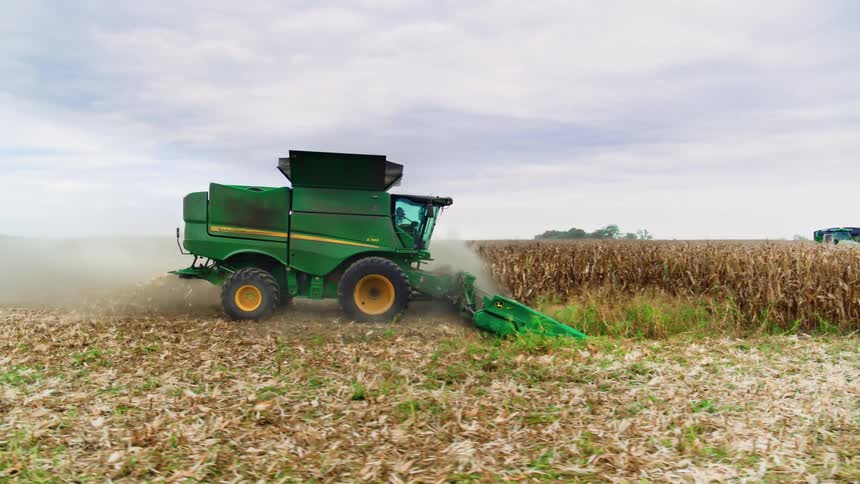 Drone shot of a combine harvester tearing through a corn field at harvest time on family farm