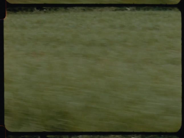Closeup of a moving grassy field