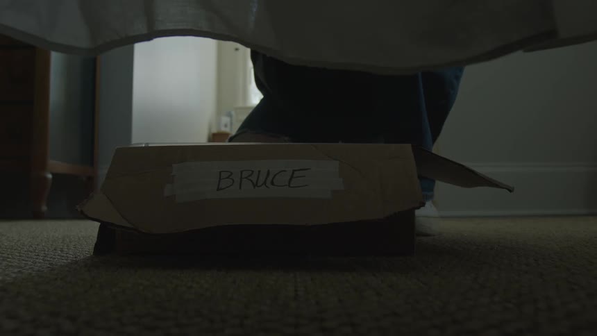 Person stretching and reaching for an object inside a box under the bed