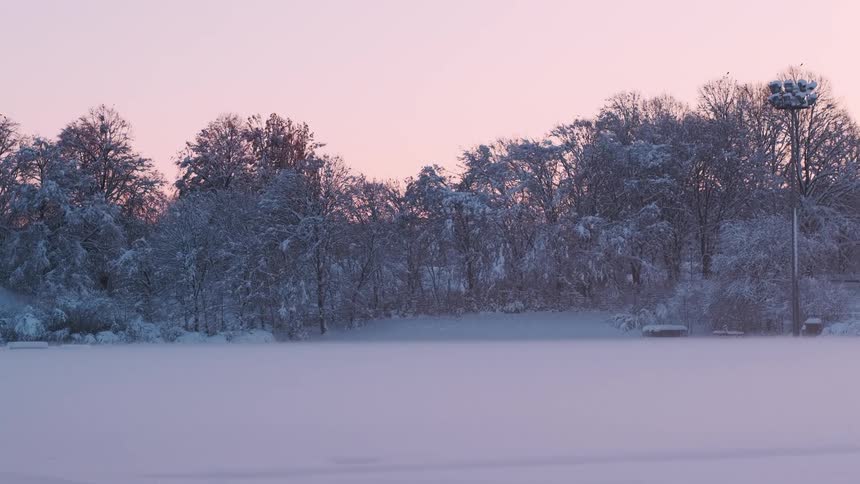 The field and forest are covered in snow