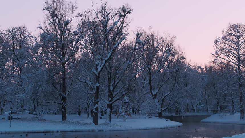 Panorama of a snowcovered park with trees and a central river on a day with a purple sky