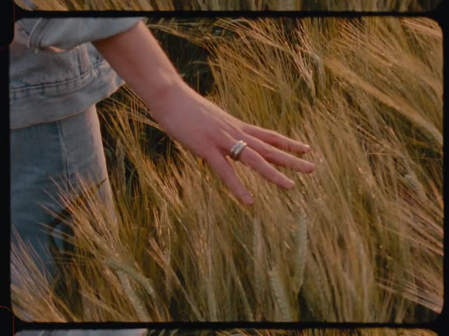 A person stands in a tall wheat field and waves a hand over it
