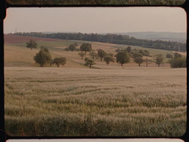 A field with trees and mountains in the background