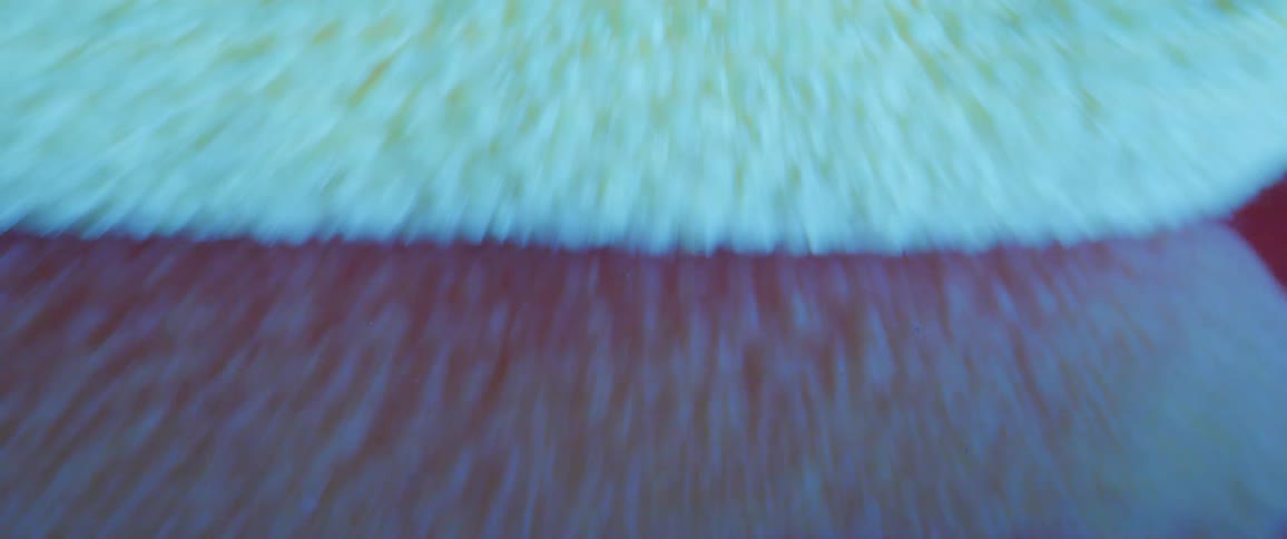 An object with fiber texture approaching quickly and several colors flash