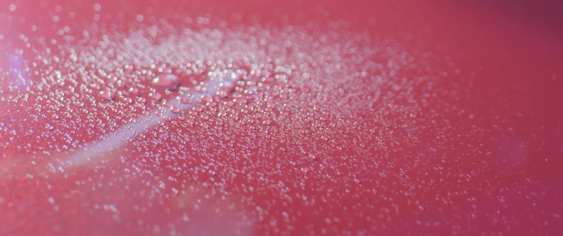 A person washes a car