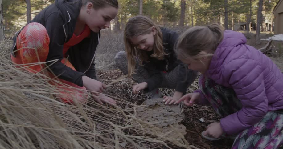 Girls poke at a mound of dirt with their fingers and twigs