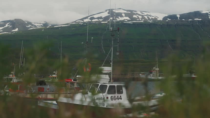 Some boats on top of the water and in the background a huge mountain with a peak full of snow