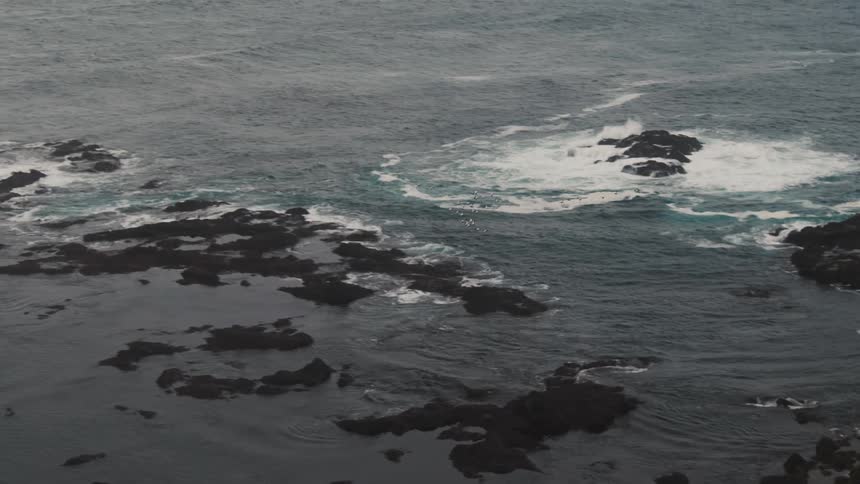 A flock of birds flying over a sea coast with many rocks