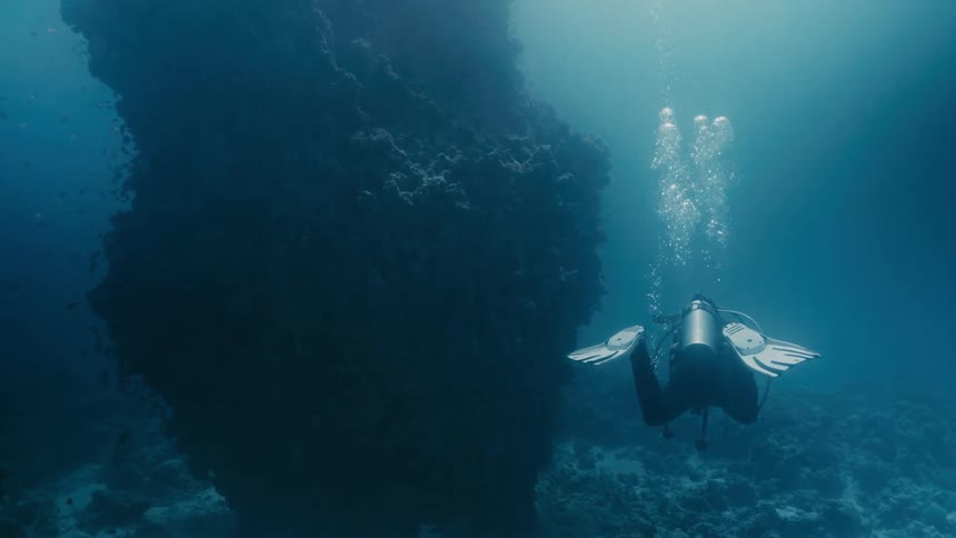 Scuba diver moving around a large piece of tall round coral near the ocean floor