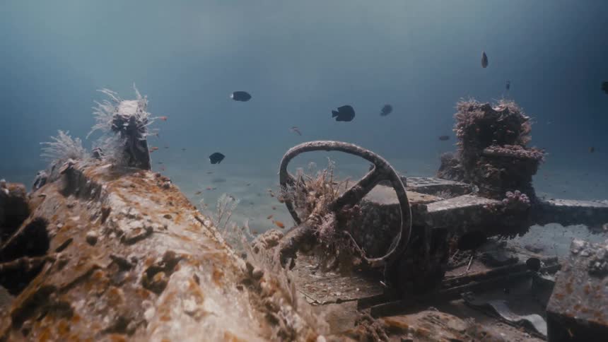 Fish swim around the vehicle underwater