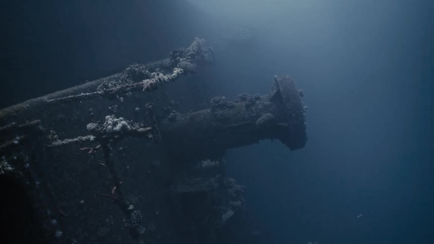 The rotted out ship is at the bottom of the murky water