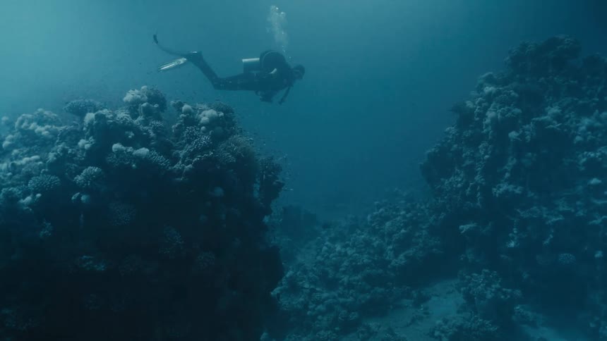 Diver amidst the sea under the reefs