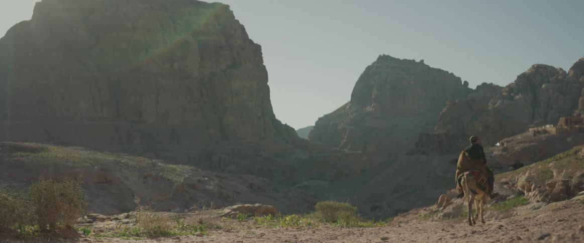 A man riding a donkey on the middle of the ground with mountains around