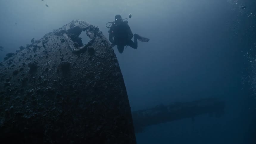 Diver amidst the sea with wreckage and fish around