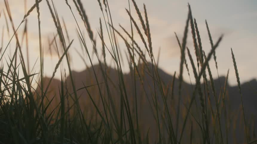 View of grassy peaks and mountain ranges on a cloudy day